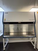 Esco Labculture Class II Biosafety Cabinet