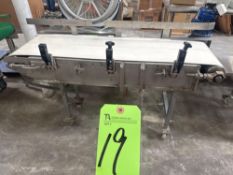 Power belt transfer conveyor