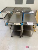 Lot (5) Lakeside Stainless Steel Push Carts on Casters; 24