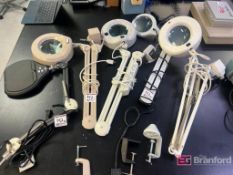 Lot (7) Magnifying Inspection Lamps