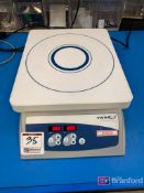 VWR Magnetic Stirrer; Cat No: 12621-054