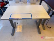 Flexispot Electronic Adjustable Height Desk;