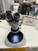 Nikon Stereozoom Microscope