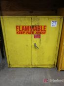 2-Door Flammable Liquid Storage Cabinet