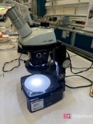 Bausch & Lomb Stereo Zoom Microscope