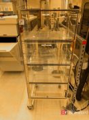 Dry Box on Casters