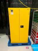 Pig Flammable Storage Cabinet