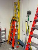 Werner 20' Ladder