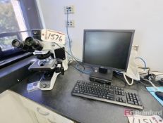 Olympus Mdl. BX43F Clinical Microscope