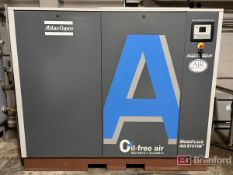 Atlas Copco Mdl. AQ37USDFF Approximately 50HP Screw Type Air Compressor