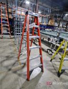 6' Werner Fiberglass Ladder