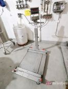 Rice Lake Mdl. 320IS Digital Portable Scale