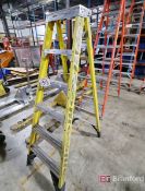 6' Werner Fiberglass Ladder