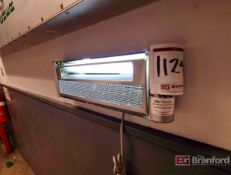 (6) Bug Zapper Lights (in building)