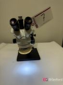 Stereozoom Microscope w/ Eyepieces
