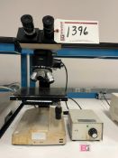 Olympus BHM Stereozoom Microscope