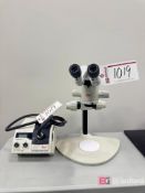 Leica MZ6 Digital Microscope. w/ Leica KL 1500LCD Light Source