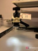 Micrometric Stereozoom Microscope w/ Accu-Scope Digital Camera