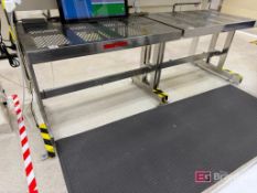 Lot (2) NTA Ultraclean Stainless Steel Work Tables