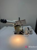 Leica MZ75 Stereozoom Microscope w/ Eyepieces