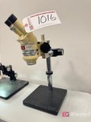 Fostec 15W Wild Microscope. Model: M5-98027