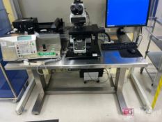 Progressive Desk Stainless Steel Electric Adjustable Height Work Desk