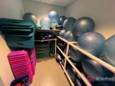 Assortment of racks, medicine balls, half Balance balls, etc