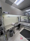 Flowstar Fume Hood w/ Overhead Light; 9' Long