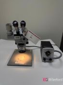 Zeiss Stereozoom Microscope w/ Eyepieces, Techniquip Light Source