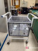 Industrial Storage Cart on Casters