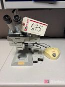 Zeiss Stereozoom Microscope w/ Ligh
