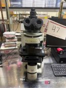 Olympus BX51M Microscope; Model: BX51RF