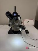 Stereozoom Microscope w/ Eyepieces