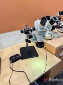 Scienscope SSZ Microscope. Model: SZ-BD-B2