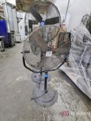 (3) Pedestal Fans
