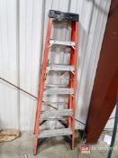 Werner 6' Ladder