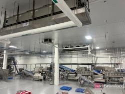 Complete JBT Romaine Cut, Wash & Packing Line