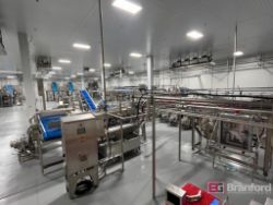 Complete JBT Vegetable Cut & Wash Line #2
