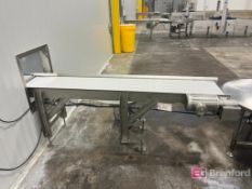 JBT Food Tech 9107013 Conveyor