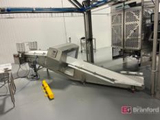 CEIA THS/MS21 Metal Detection System w/ Conveyor (2024)