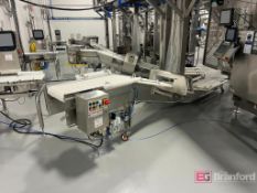 CEIA THS/MS21 Metal Detection System w/ Conveyor (2024)