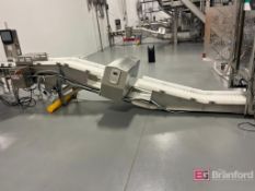 CEIA THS/MS21 Metal Detection System w/ Conveyor (2024)