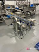 JBT A8F-0986000 Cleated Incline Conveyor