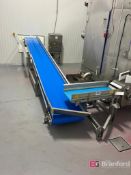 JBT Outfeed Conveyor