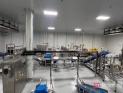 Complete JBT Vegetable Cut & Rinse Line