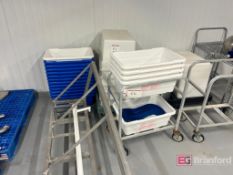 Large Quantity Of Plastic Totes