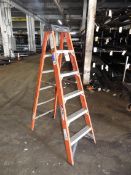 Werner 6' Fiberglass Step Ladder