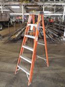 Werner 6' Fiberglass Step Ladder