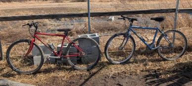 (2) Mountain Bikes