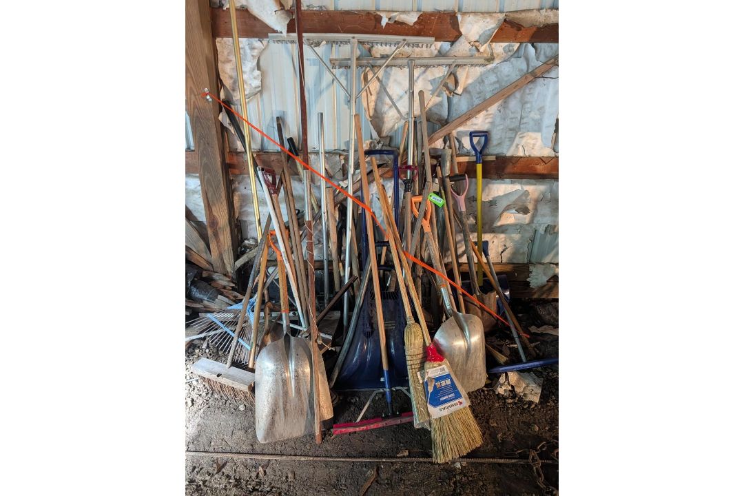 (30+/-) Shovels, Brooms, & Other Stick Tools - Image 1 of 5